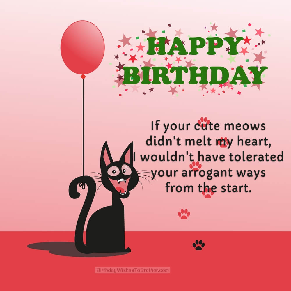 Happy Birthday Cat, Kitty - 100+ Birthday Wishes For Cats