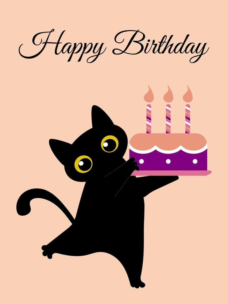 Happy Birthday Cat, Kitty - 100+ Birthday Wishes For Cats