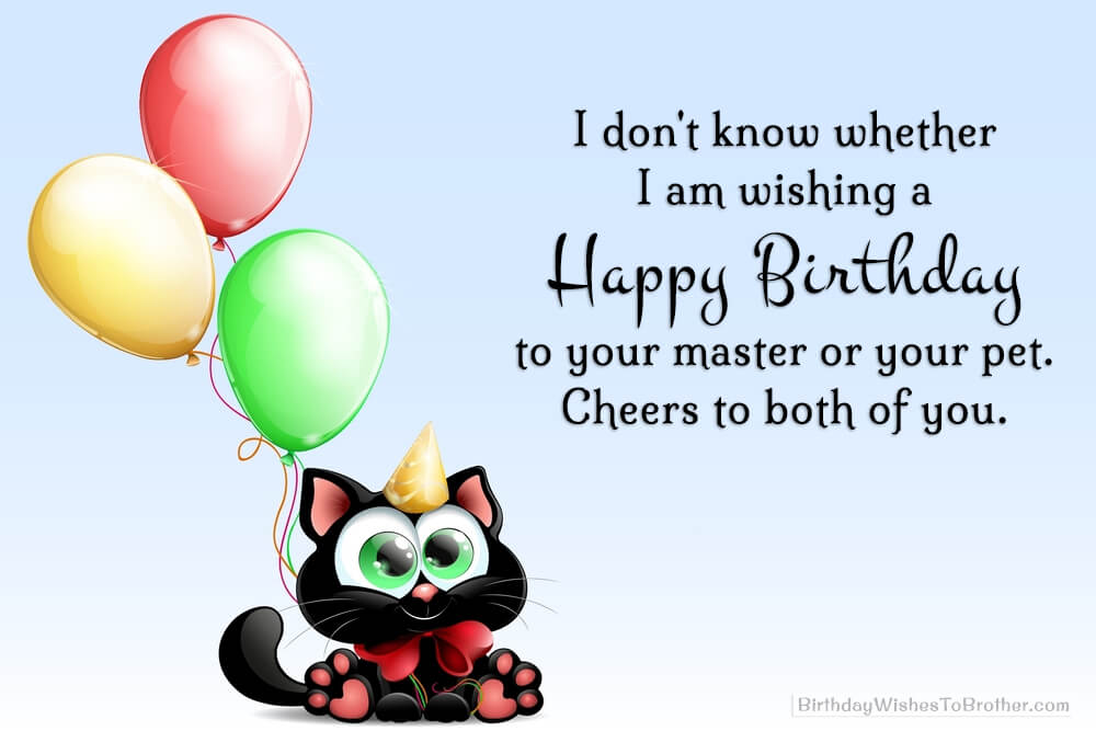 Happy Birthday Cat, Kitty - 100+ Birthday Wishes For Cats