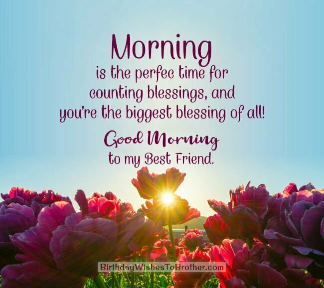 200+ Good Morning Messages For Friends