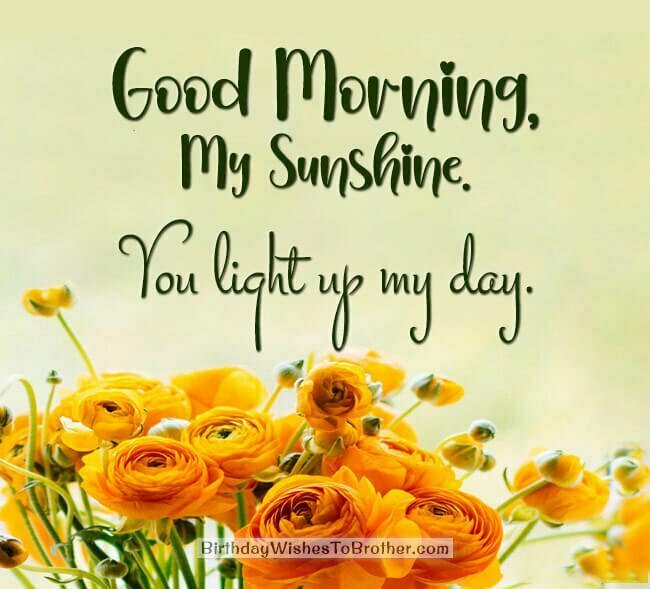 100+ Good Morning Love Messages And Wishes With Images