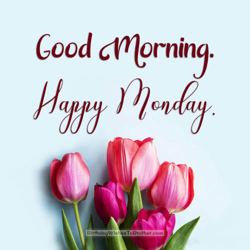 100+ Happy Monday Morning Wishes And Greetings
